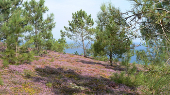 Cliquez ici pour voir l'image (crozon (15).JPG)
